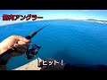 釣った魚をその場で捌いて食べる【沖縄釣り】