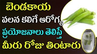 బెండకాయ వలన కలిగే ఆరోగ్య ప్రయోజనాలు తెలిస్తే మీరు రోజు తింటారు  | Telugu Health Tips | Okra