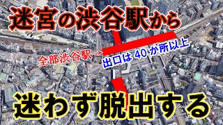 【現地撮影】渋谷駅からハチ公像まで迷わず行く方法を解説します。JR、東急、地下鉄、京王の路線ごとに紹介。