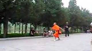 Shaolin Tiger Boxing set