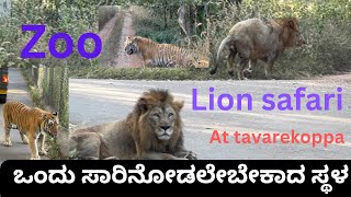 Lion Safari AT TAVAREKOPPA NEAR shivmoga /zoo/safari/lion/tiger/cheeta/