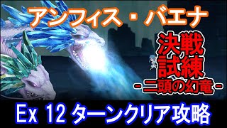 【ダンメモ】決戦試練-アンフィス・バエナ- Ex 12ターン攻略(2023/03/11)