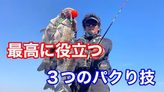 準優勝へと導いてくれた３つのパクり技【チヌ釣り.紀州釣り】