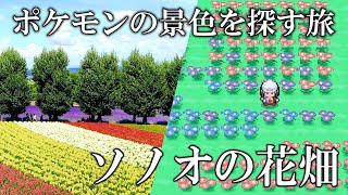 【ポケモンの景色を探す旅】シンオウ地方 ソノオの花畑