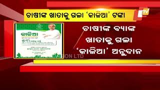Odisha Govt Disburses KALIA Money To Farmers' Accounts