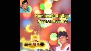 Kamliwale Ka Roza Nigahon Mein Hai & Sonu Nigam -  Hits (Qawwali)