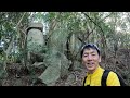 【登山】 福岡の名低山 観音山・石割山