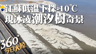 極寒天氣來襲!海灘驚現冰凌「潮汐樹」奇景 江蘇連雲港進入-10℃\