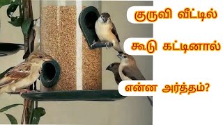 vettil kuruvi kodu katinal enna palan | வீட்டில் குருவி கூடு கட்டினால் என்ன நடக்கும்