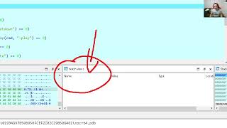 Source level and pseudo-code (decompiler) level debugging with IDA