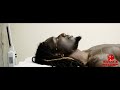 LS Milli - Theraputic Pain (Music Video) | Prod. By @TheReal_905