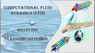 CFD Bullet 55 Transient Diffusion FVM