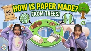 How Paper Is Made: The Amazing Science Behind Every Sheet!