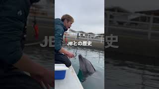 2年前のJBちゃんとテニプリ #dolphin #イルカ #aquarium