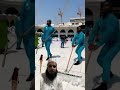 haram sharaf cleaning madina makkhamadina travel mecca ulmayedeoband