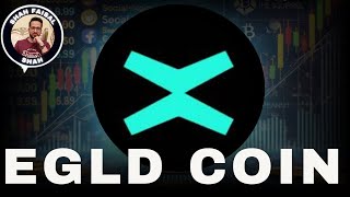 MultiversX (EGLD) Price Prediction 25 January 2025