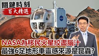 NASA為移民火星絞盡腦汁 最強6足露營地形車靈感來源是昆蟲！？【關鍵時刻百大精選】- 劉寶傑 黃創夏 傅鶴齡