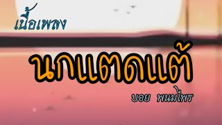 นกแตดแต้ (เนื้อเพลง) : บอย พนมไพร (cover version)