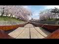 岡崎の桜まつり 2016 岡崎城下舟遊び 桜満開ver 16.04.06 kodak pixpro sp360 4k