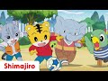 The Best Team in the World!⚽️ Kindergarten | 24 Minute Compilation | Kids video for Kids | Shimajiro