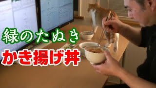 緑のたぬき天そばの小えび天ぷらで「かき揚げ丼」美味しい天丼に