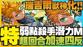 【角色評測】瑞吉爾獸神化『弱點殺手M×底力M』超回合加速永動機！四反陷阱無視的直毆超強化「怪物彈珠」