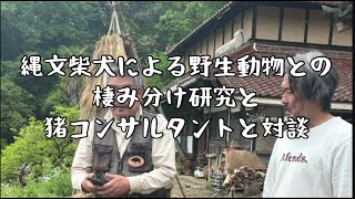 縄文柴犬による野生動物の棲み分け研究と猪コンサルタントの対談