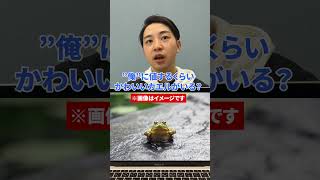 海外特化型アキネータークイズ　#留学 #shorts