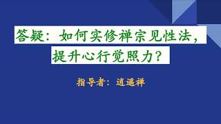 逍遥禅答疑：如何实修禅宗见性法，提升心行觉照力？