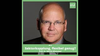 #11 Sektorkopplung, flexibel genug? - Prof. Dr. Martin Wietschel (Fraunhofer ISI)