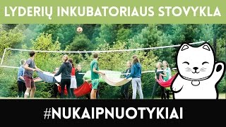 Nu kaip, o tiksliau Dovilė Lyderių inkubatoriuje yra mentorė! o čia video, ką jie ten veikia!