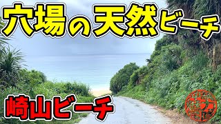 【穴場の天然ビーチ】崎山ビーチは曇り空でも綺麗なたこちゃんhappyビーチ！