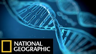 Children of Adam | National Geographic DNA Documentary