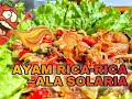 AYAM RICA-RICA ALA SOLARIA