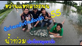 หาปลาตอนน้ำท่วม หว่านแห กลางถนนเลย ปลาใครออกจากบ่อน้อ ^_^ | ช่างยุทธ อินดี้