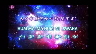 大白傘蓋佛母心咒（堅甲咒）108  遍#吽麻麻吽禰娑哈#HUM MA MA HUM NI SWAHA#