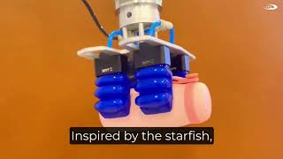 Innovative Soft Gripper Technology: Transforming Industrial Automation