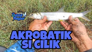 Misi ultralight fishing bandang / ladyfish | #vlog41