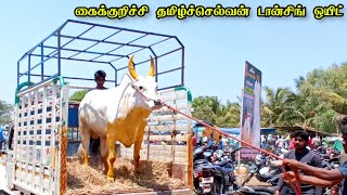 கைக்குறிச்சி தமிழ்ச்செல்வன் டான்சிங் ஒயிட் | Kaikurichi Tamilselvan Dancing White