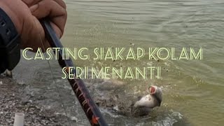 casting siakap kolam....