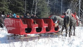 Manitoba's Largest Sleigh Ride 2016~Riding Mountain Ntl Park