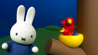 ミッフィーと雛鳥｜MIFFY｜子ども・幼児向けテレビ｜ミッフィー