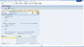 19 SAP ABAP Training Debugging Your Programs Part 2