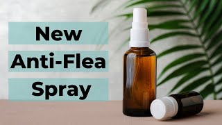 Got Fleas? Try my NEW Flea Spray