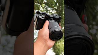 SONY A6600 W/ SONY 55-210 SAMPLE SHOTS | BEST BUDGET TELEPHOTO LENS SONY E MOUNT #SHORTSVIRAL