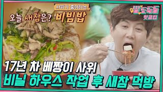 ♨️핫클립♨️ 류진이 고된 비닐 하우스 작업 후 먹는 꿀맛 새참☞비빔밥↗｜딸도둑들｜JTBC 220510 방송