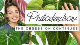 Sorry If You Buy More Plants After This 😬 PHILODENDRON Collection Tour, Growth U