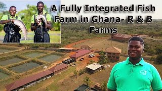 A Fully Integrated Fish Farm In Ghana- R & B Farms
