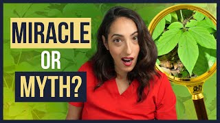 Is Panax Ginseng the Miracle Sex Pill You Want?! | Urologist Explains