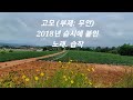 고모 부제 무안 . 2018년 습시에 붙인 습작. 2025.01.05.